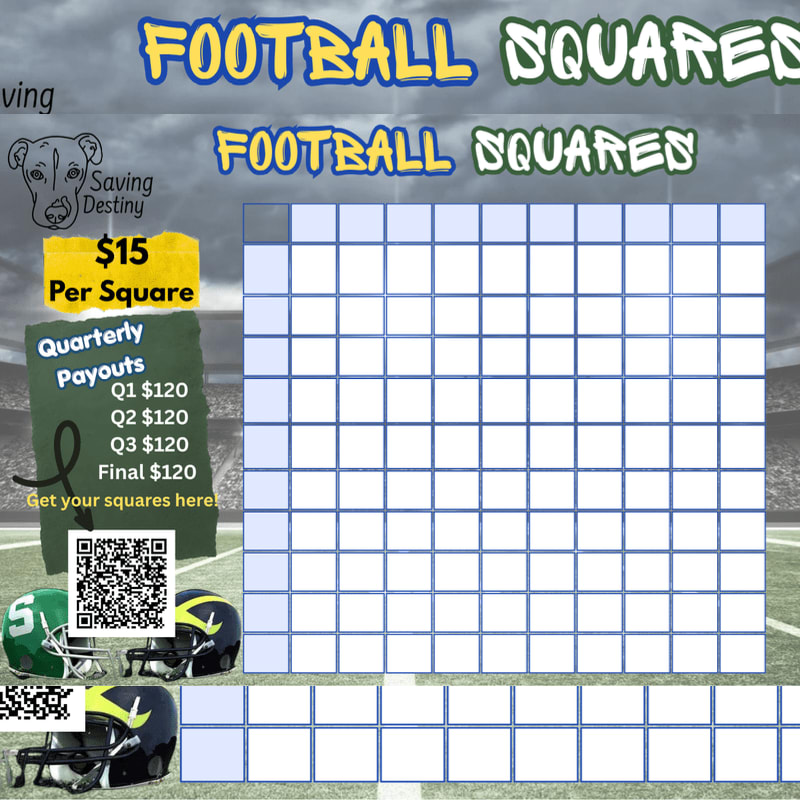 A football squares betting grid and payout information are displayed in the foreground against a background of a cloudy sky and a football stadium.