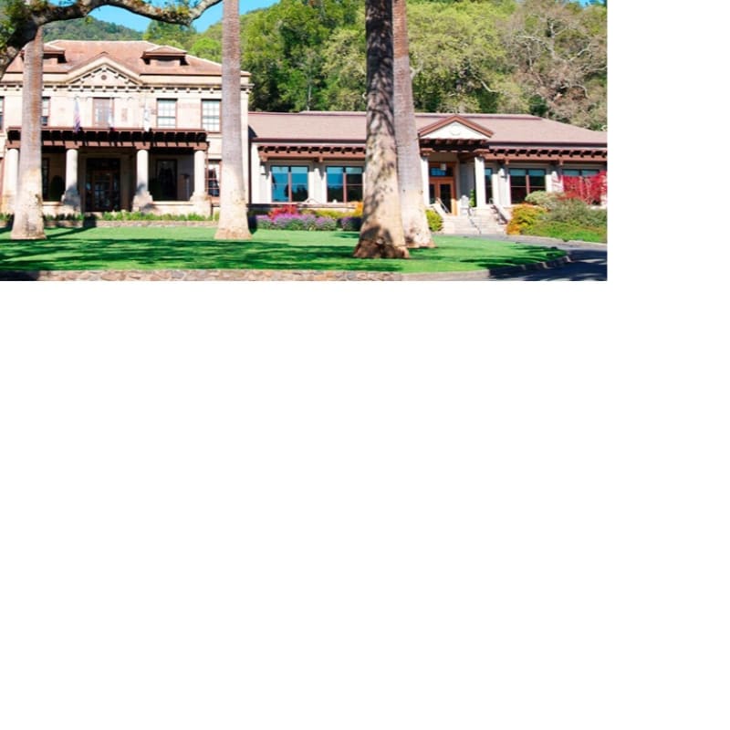 A large stone mansion sits behind a manicured green lawn and tall palm trees, with a lush forest in the background.