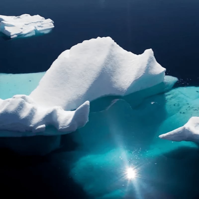 Large white icebergs float in deep blue water with a bright sun reflection shimmering on the surface.