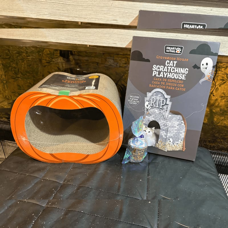 A pumpkin-shaped cat scratching house and a product box sit on a black quilted mat in front of a wooden wall.