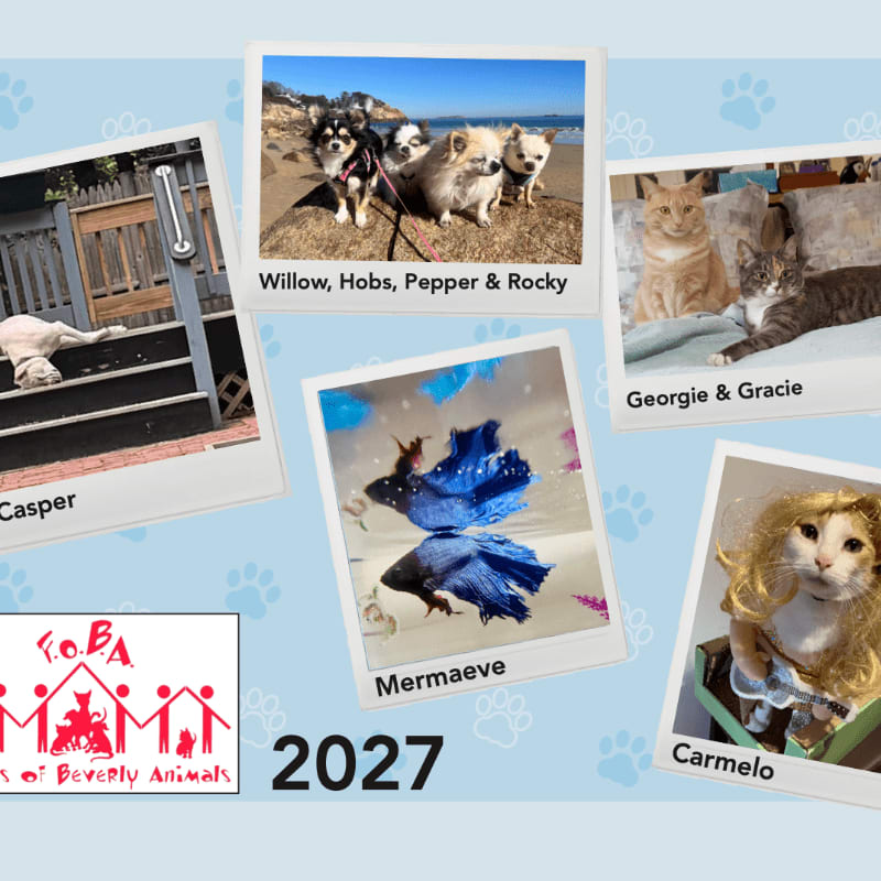 Several polaroid photos of pets are scattered across a light blue background decorated with paw prints and the text "2027".