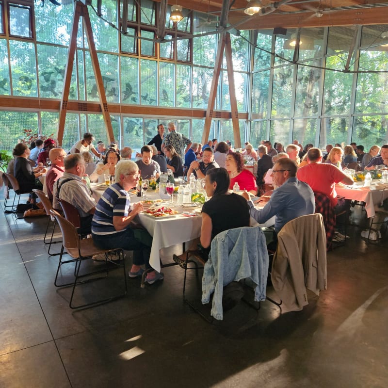 People dine at long white tables in the foreground of a sunlit room with large glass walls and wooden beams overlooking a forest in the background.