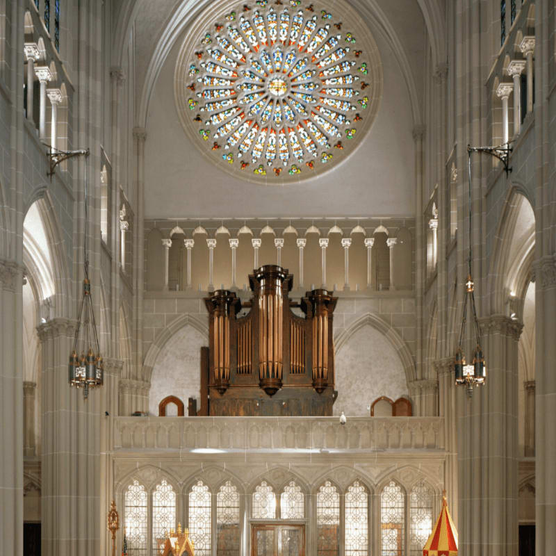 A large pipe organ sits on a balcony in the foreground, set against a backdrop of a grand cathedral interior featuring a massive, colorful rose window.