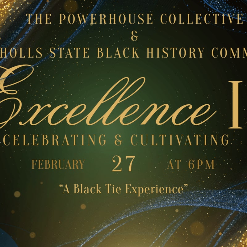 Gold text announcing an "Excellence" event is centered over a dark green background with shimmering blue and gold glitter accents.