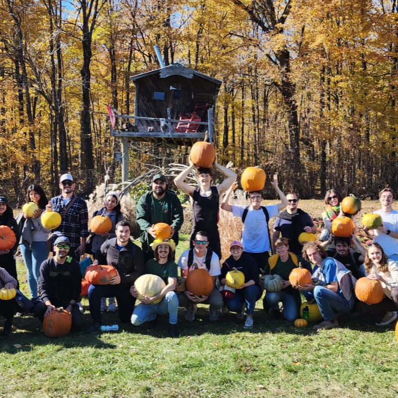 A group of people pose with pumpkins in a grassy field, with a rustic wooden treehouse and autumn foliage in the background.