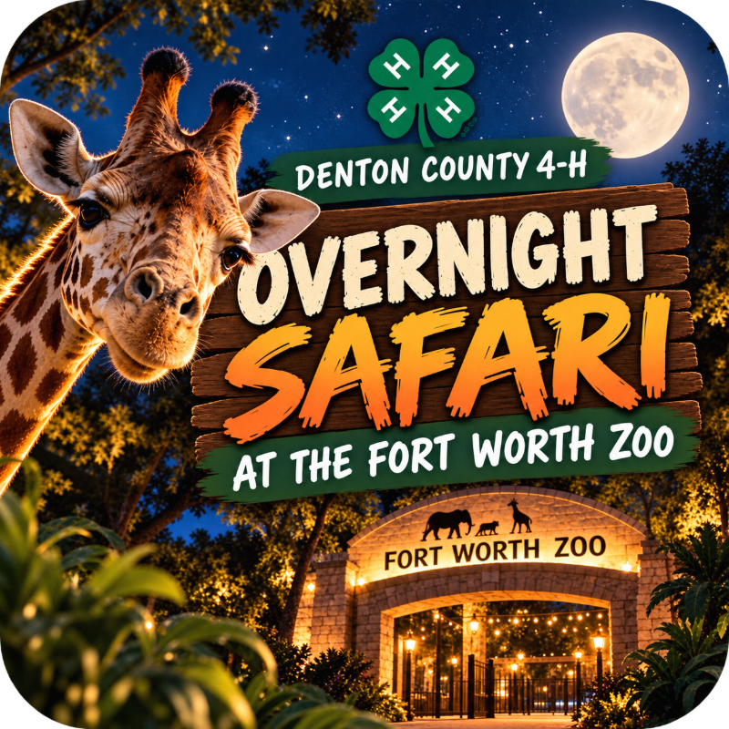 A giraffe and tropical foliage frame a wooden sign for a "Denton County 4-H Overnight Safari" set against a nighttime backdrop of the Fort Worth Zoo entrance and a full moon.