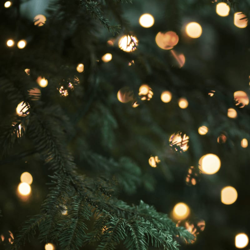 green christmas tree with string lights