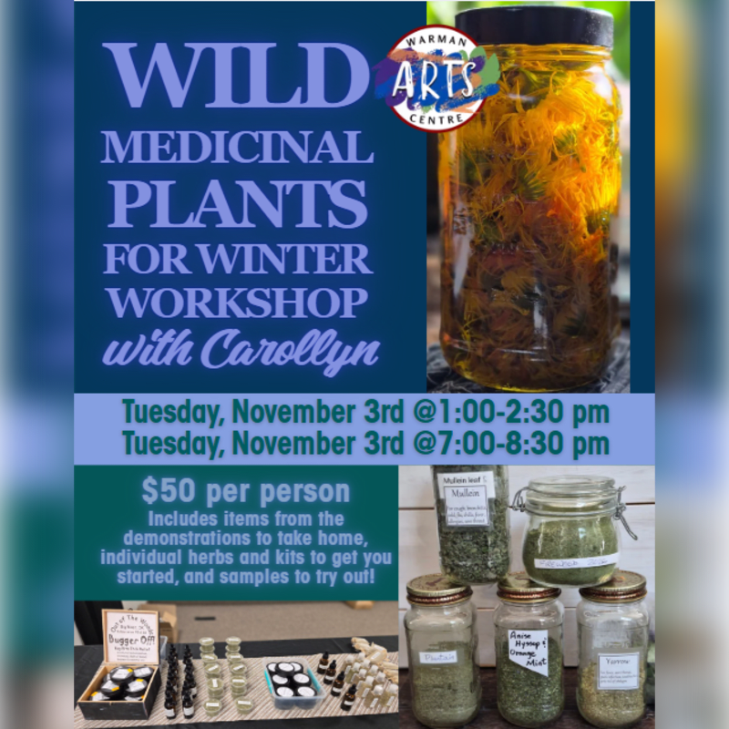A promotional flyer for a medicinal plants workshop features a large jar of yellow herbs in the foreground and a blue background with event details.