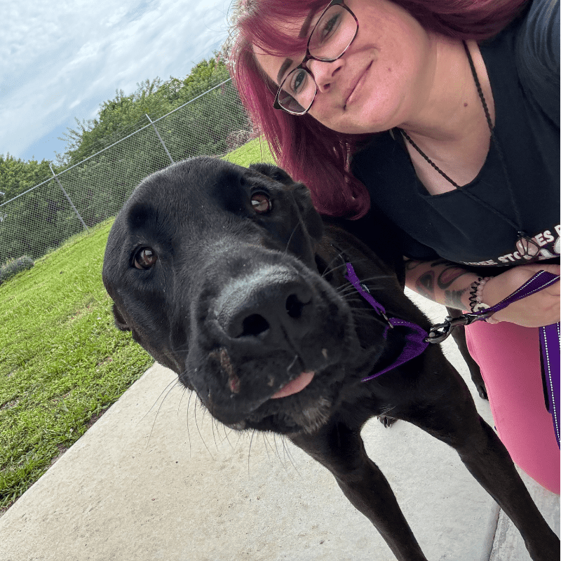 A black dog is in the foreground with a woman with pink hair behind it, set against a background of a grassy area and a chain-link fence.