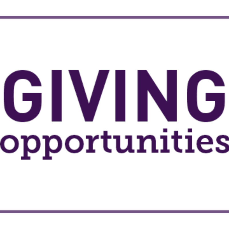 Purple text reading "GIVING opportunities" is centered on a plain white background with purple horizontal lines at the top and bottom.