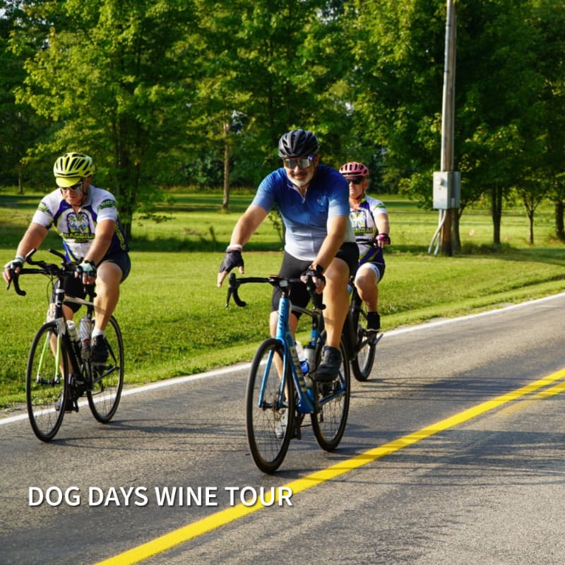 Three cyclists ride along a paved road lined with lush green trees and grass.
