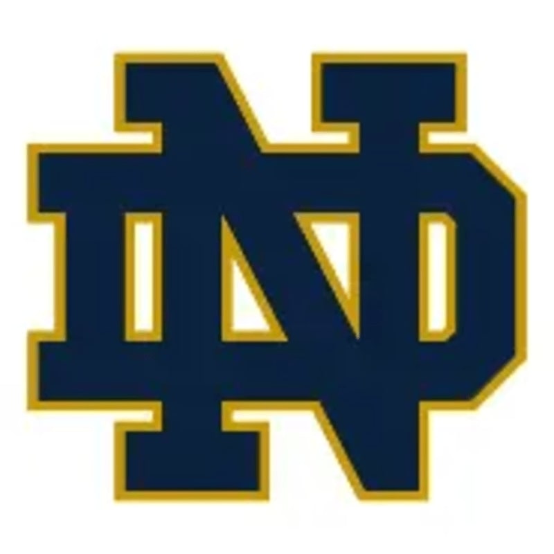 A navy blue interlocking "ND" logo with a gold outline is centered against a plain white background.