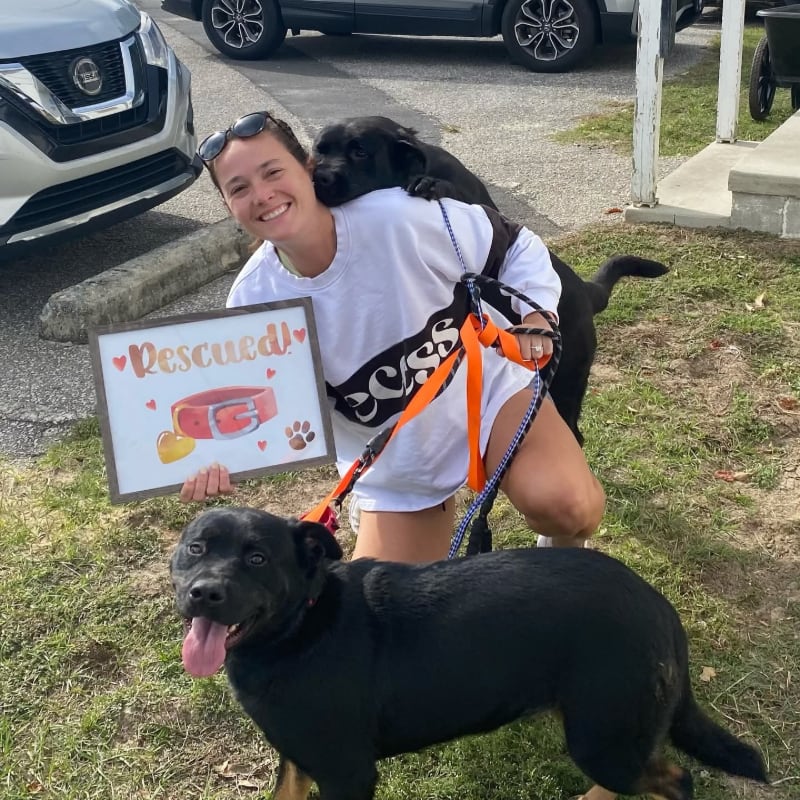 A smiling woman holds a "Rescued!" sign while posing with two black dogs in a parking lot with cars and a building in the background.