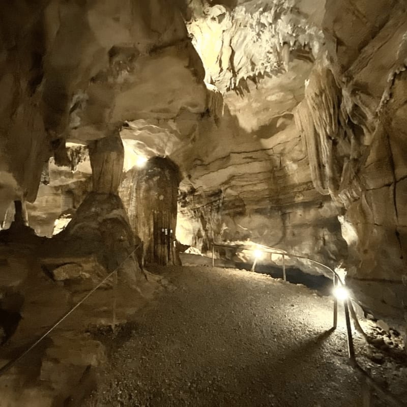 A lit gravel path with a metal railing leads through a cavernous limestone cave filled with stalactites and rock formations.