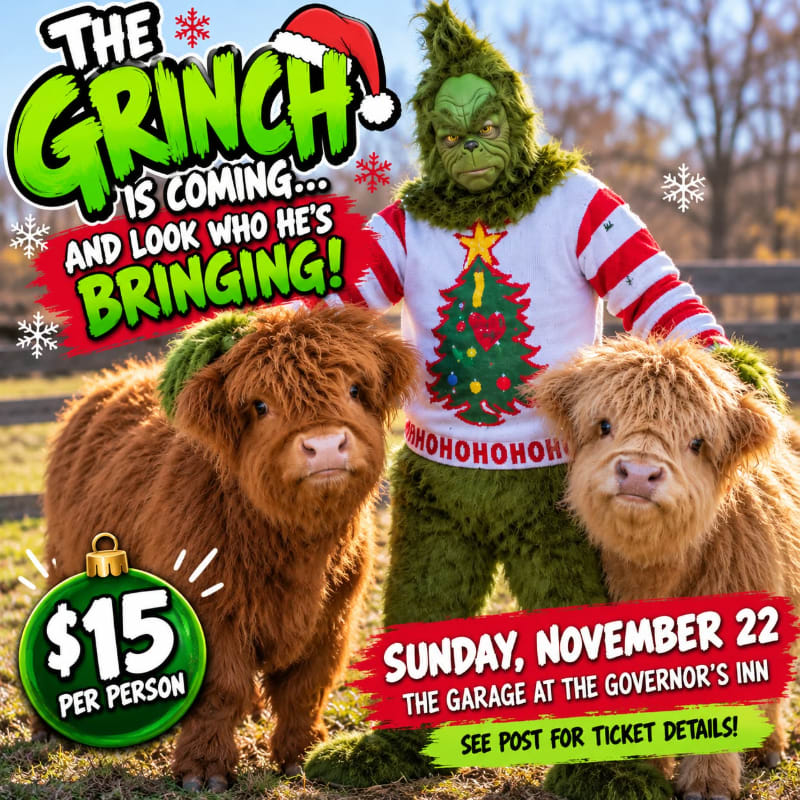 A person dressed as the Grinch stands between two fluffy Highland calves in a grassy outdoor setting with blurred trees in the background.