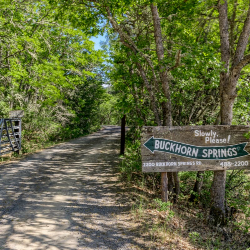 A wooden sign for Buckhorn Springs stands in the foreground beside a dirt road that leads into a lush, green forest.