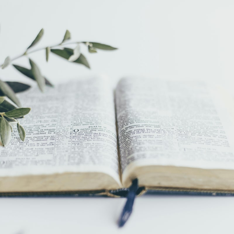 green plant on white book page