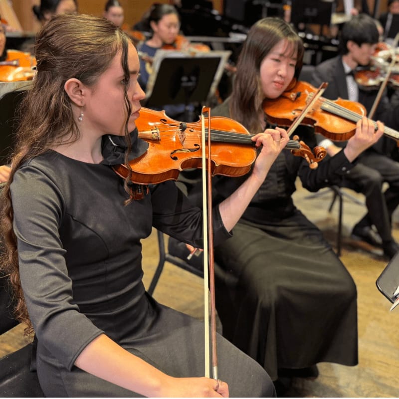 A woman in a black dress plays the violin in the foreground, while other musicians perform in an orchestral setting in the background.