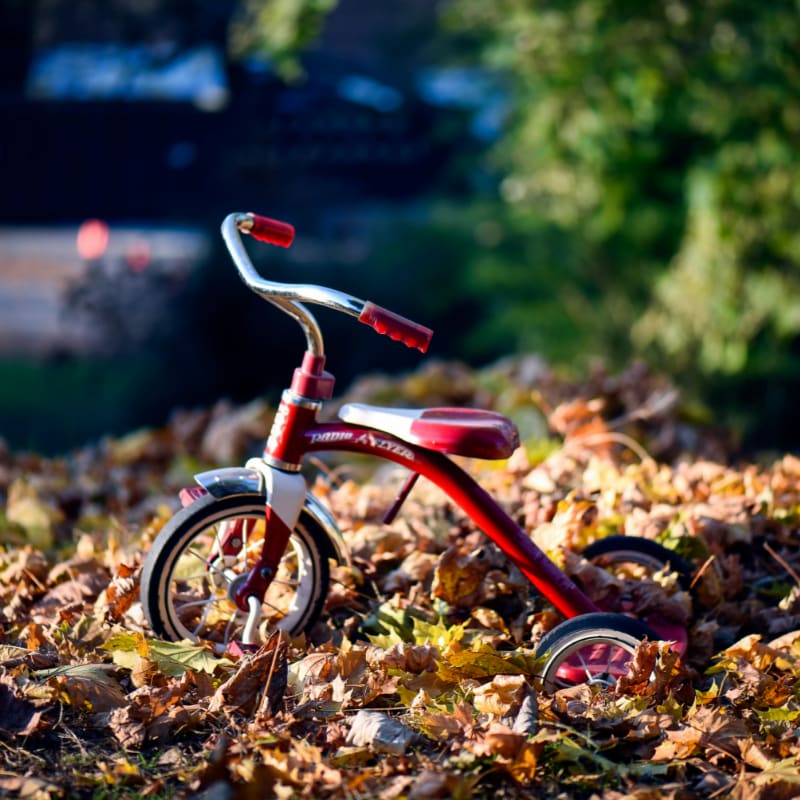 red Radio Flyer trike on brown dried leaves