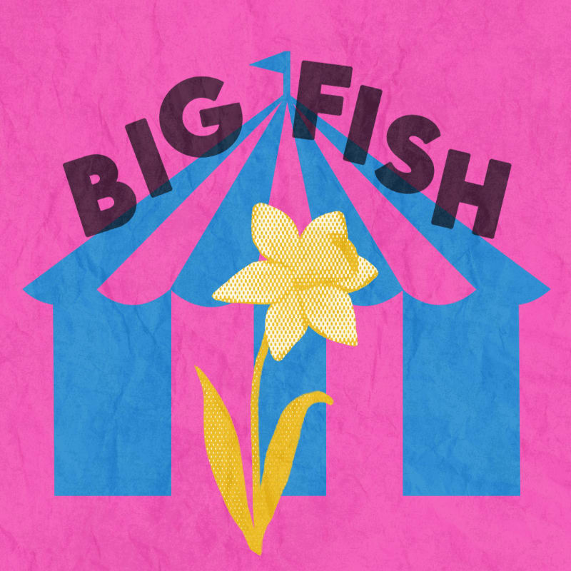 A yellow flower stands in the foreground against a blue circus tent and a pink textured background with the words "BIG FISH" arched above.