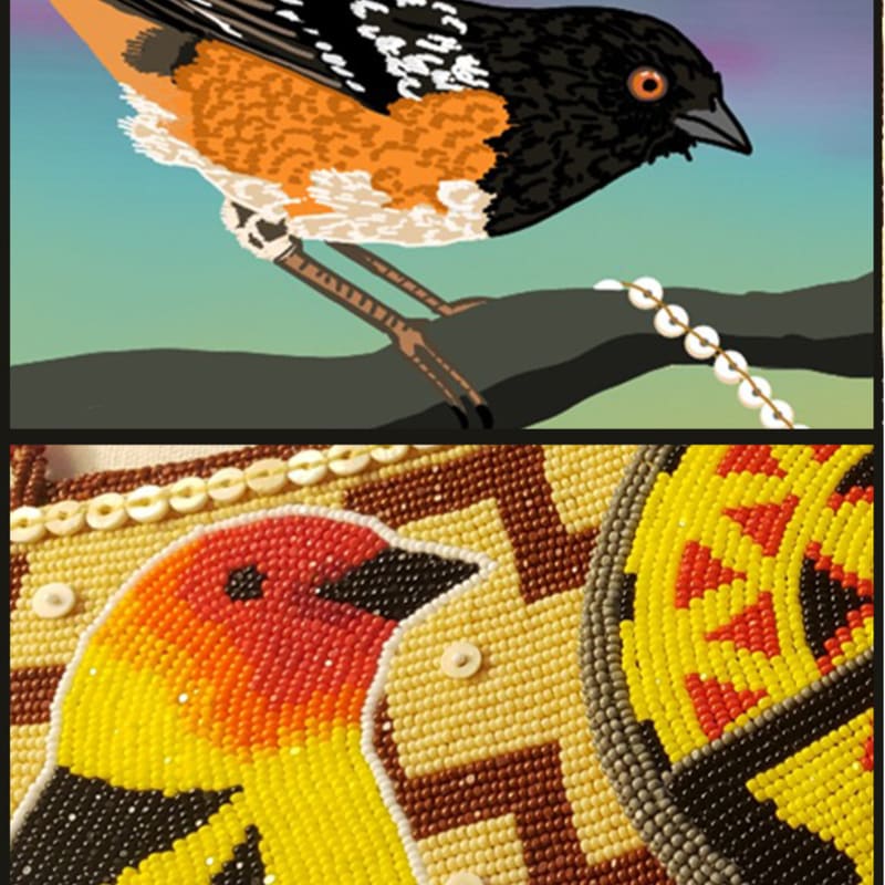 A black and orange bird perches on a branch against a soft blue background in the top image, while a colorful beaded bird is featured in the bottom image.