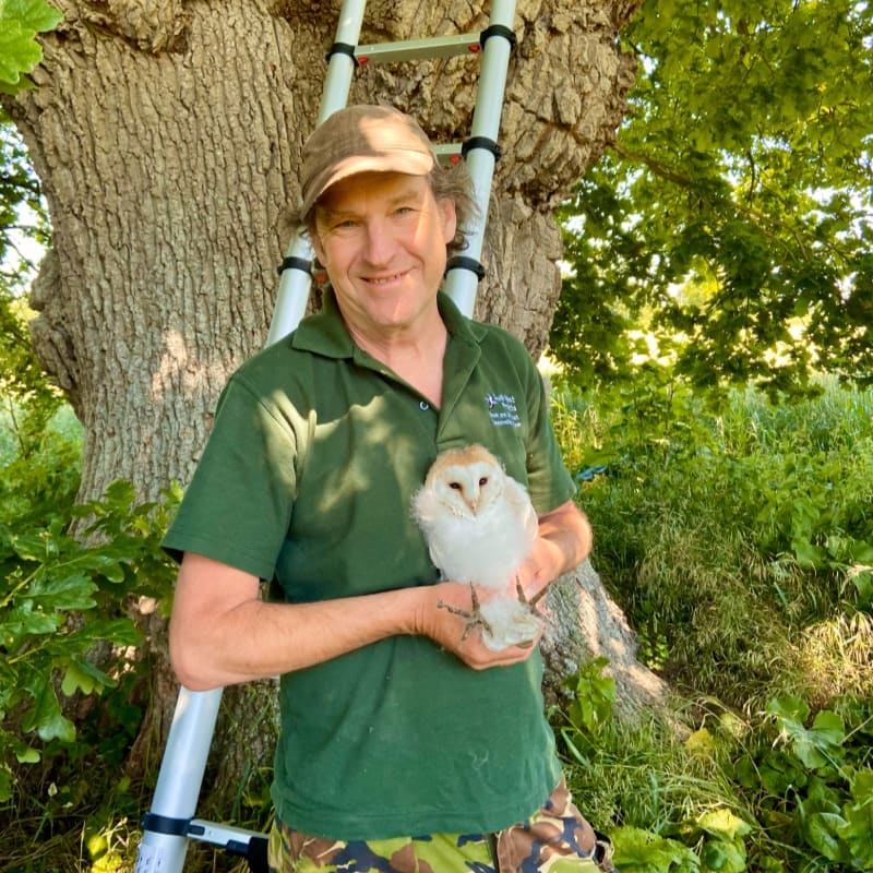 A smiling man in a green shirt and brown cap holds a small white owl in front of a large tree trunk and a silver ladder.