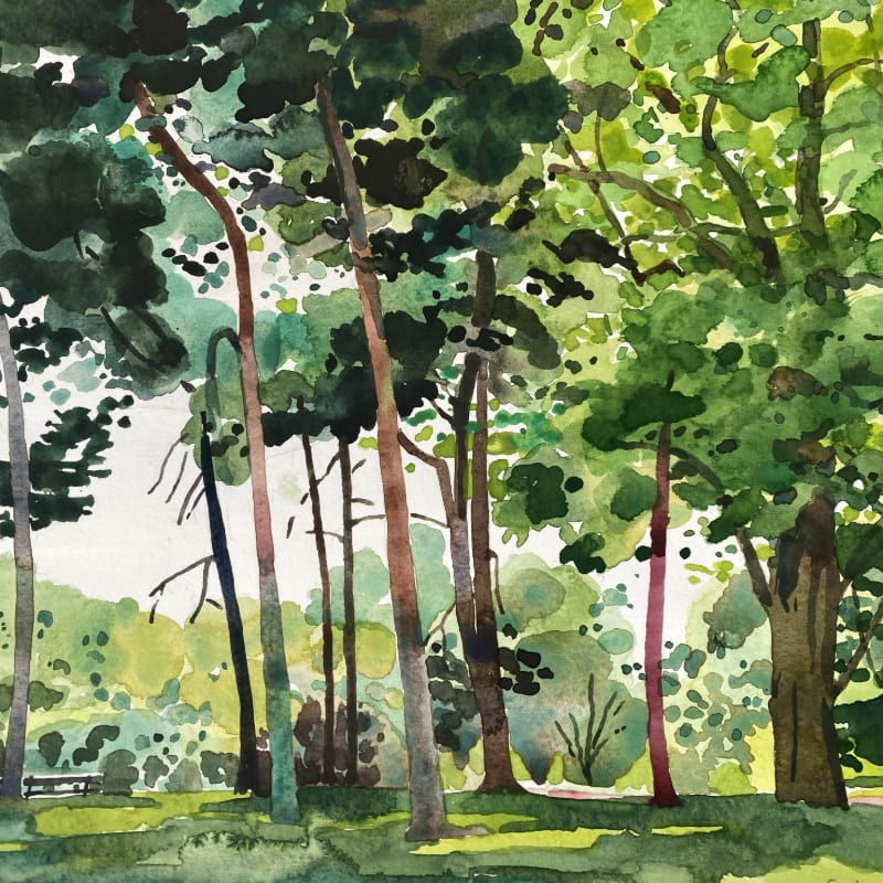 A watercolor painting of tall, slender trees in the foreground with a lush, green forest filling the background.