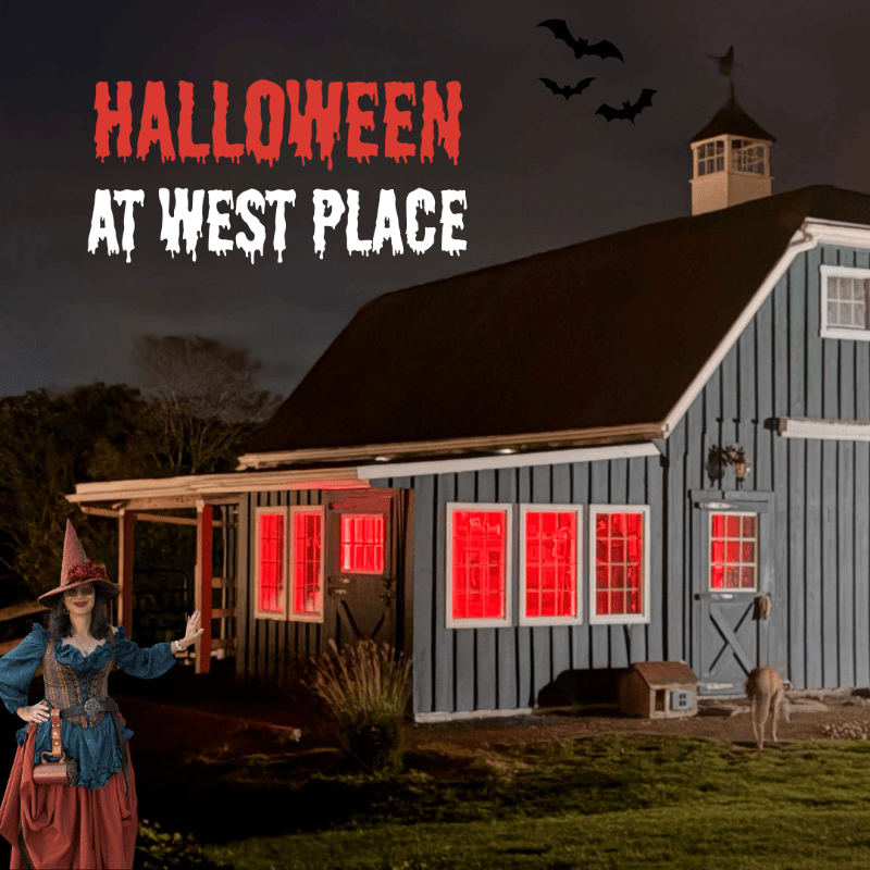 A witch stands in the foreground before a blue barn with glowing red windows under a dark night sky filled with bats.
