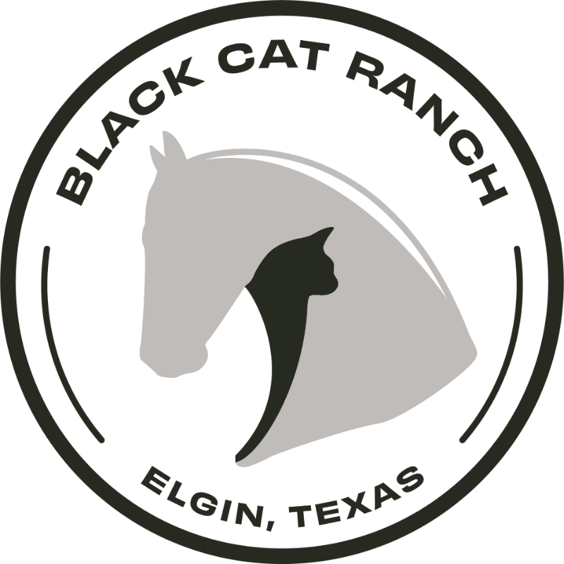 A black cat silhouette is centered over a grey horse profile within a circular logo featuring the text "BLACK CAT RANCH" and "ELGIN, TEXAS" on a white background.