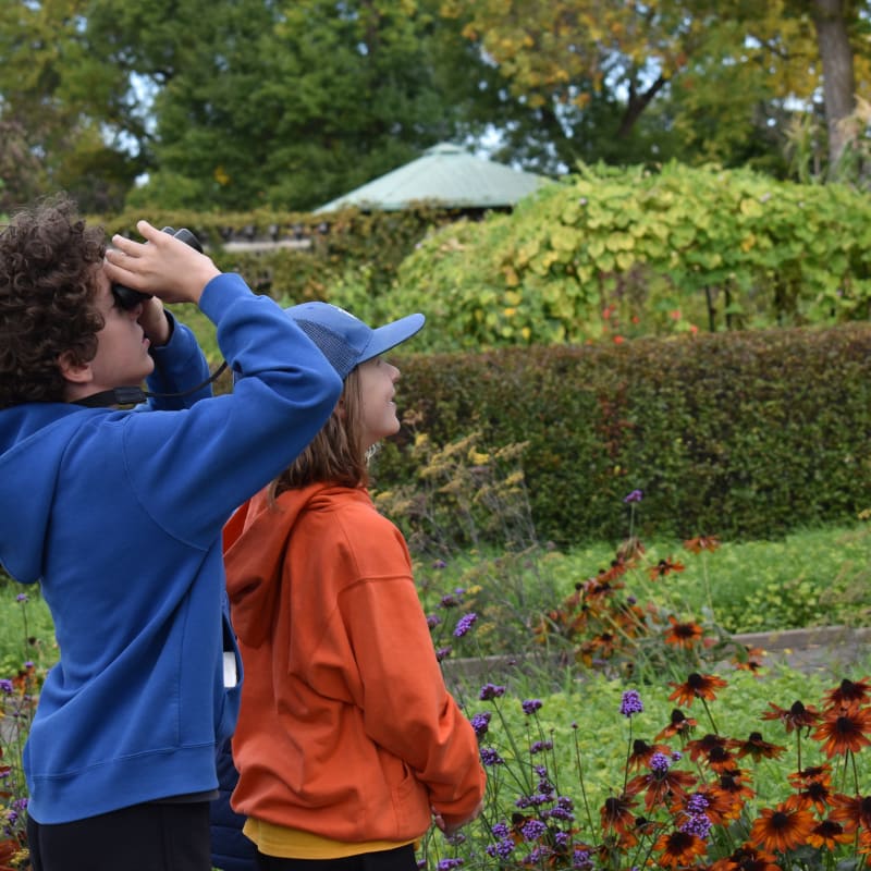 Two children, one in a blue hoodie using binoculars and another in an orange hoodie, stand in a garden filled with orange flowers and green hedges.