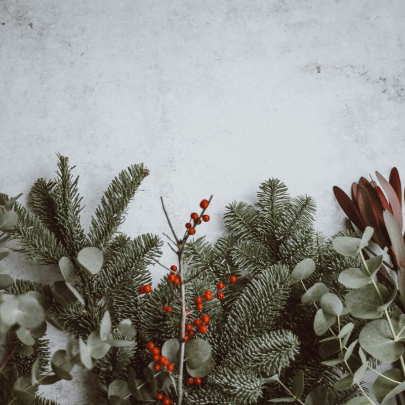 photo of green leafed plants