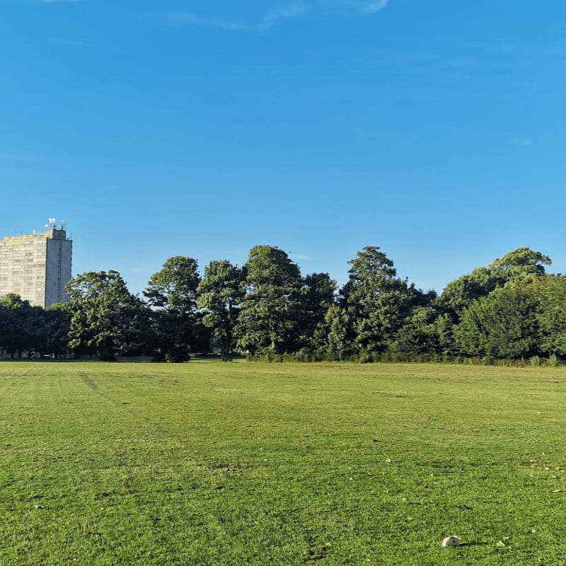 A wide green field leads to a line of lush trees and a tall building under a clear blue sky.
