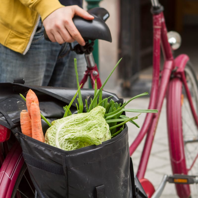 A black bicycle bag filled with carrots and cabbage sits in the foreground, with a person holding the handlebars of a red bike in the background.