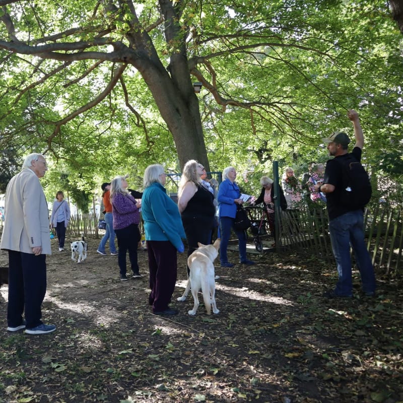 A group of people and two dogs gather in the foreground under the shade of a large, leafy tree that fills the background.