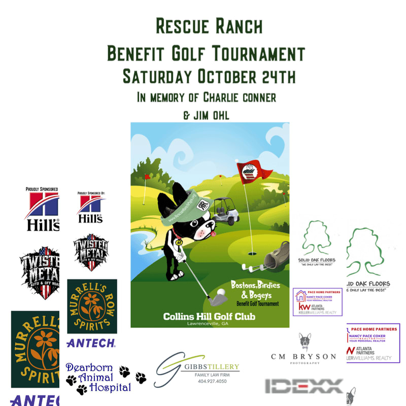 A colorful illustration of a dog playing golf on a green course is centered on a white promotional flyer surrounded by various sponsor logos and event text.