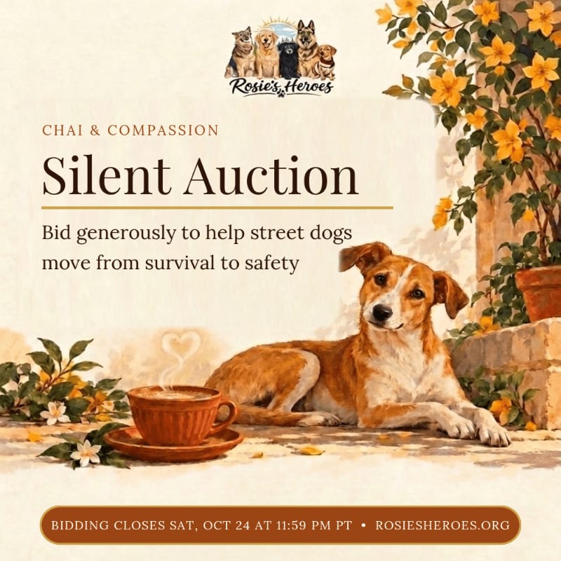A brown and white dog rests beside a steaming cup of tea in the foreground, with yellow flowers and promotional text for a silent auction in the background.