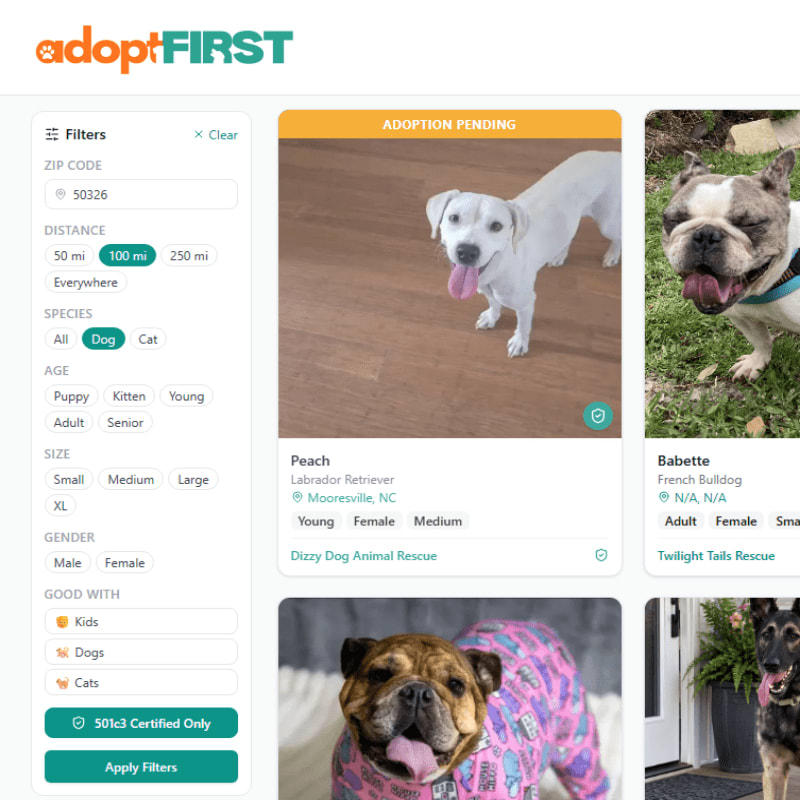 A search filter sidebar for pet adoption is positioned on the left against a white background, while profiles of adoptable dogs are displayed in cards to the right.