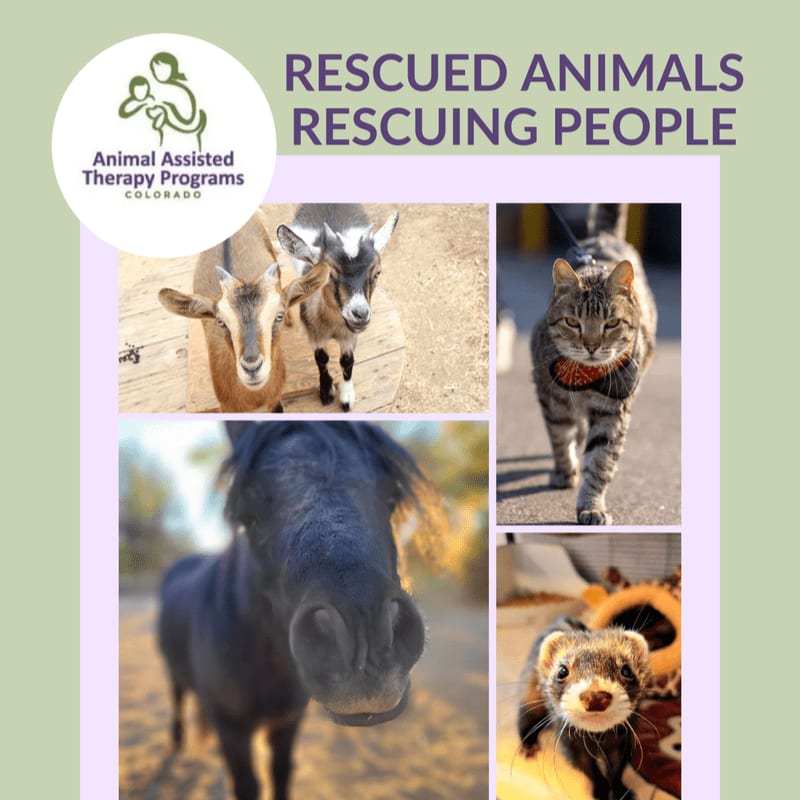 A collage of goats, a cat, a horse, and a ferret is set against a light green background featuring the text "RESCUED ANIMALS RESCUING PEOPLE" and a logo for Animal Assisted Therapy Programs Colorado.