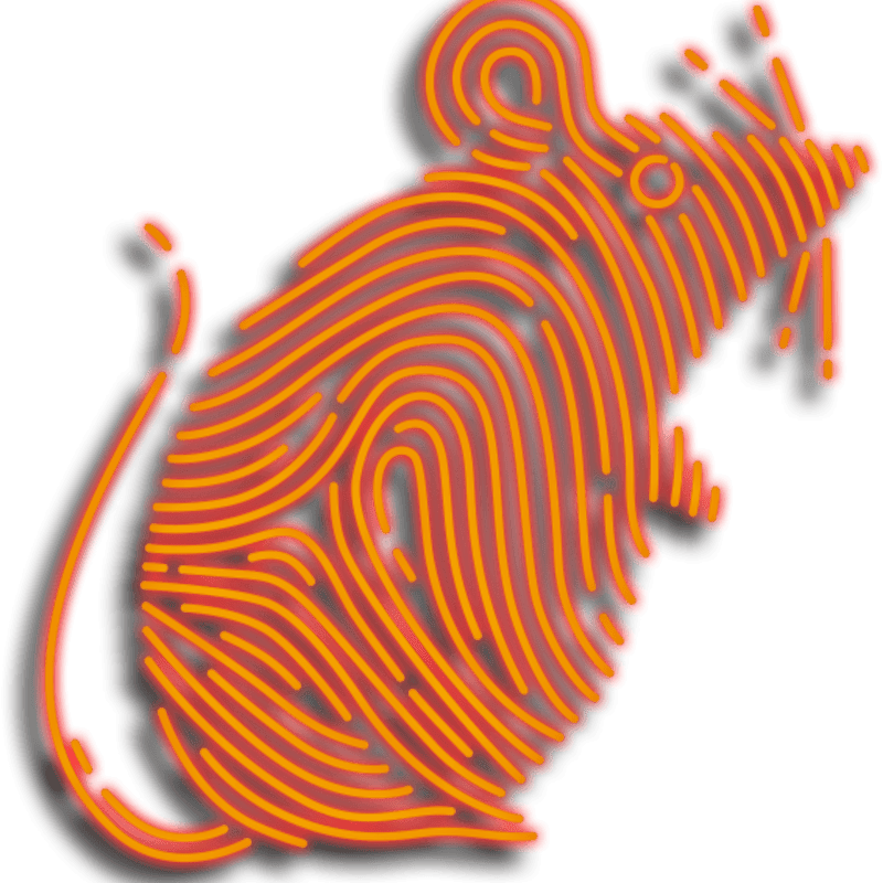An orange fingerprint shaped like a mouse sits against a plain white background.