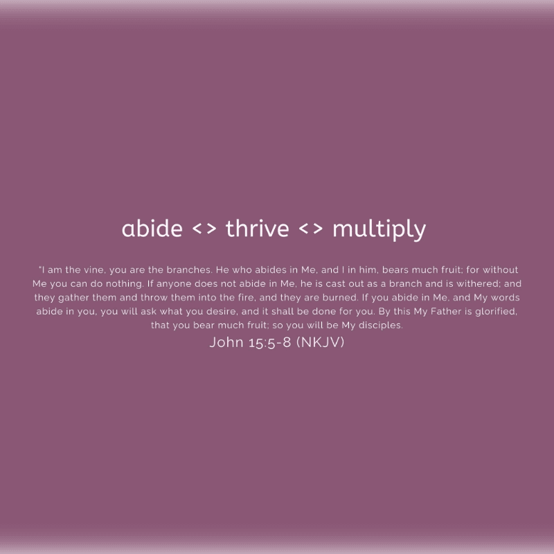 White text featuring a biblical quote and the words "abide < > thrive < > multiply" is centered against a solid purple background.