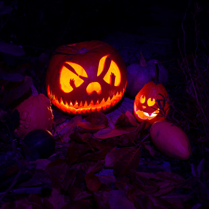 a couple of pumpkins sitting on top of leaves
