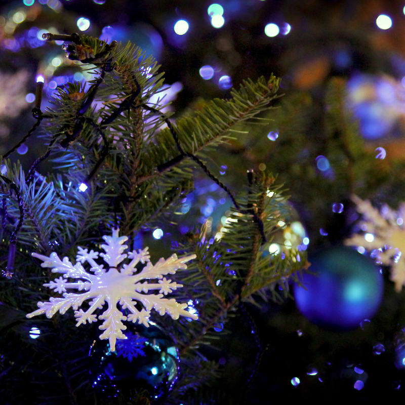 white and blue christmas baubles on green christmas tree