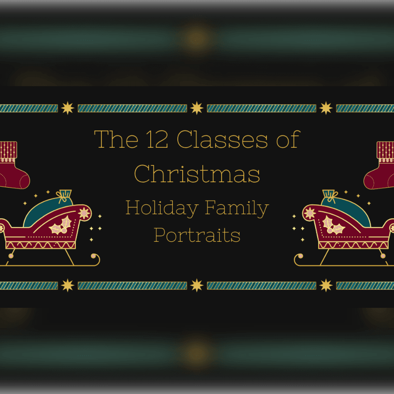 Gold text reading "The 12 Classes of Christmas Holiday Family Portraits" is centered between festive sleigh and stocking illustrations against a dark, blurred background.