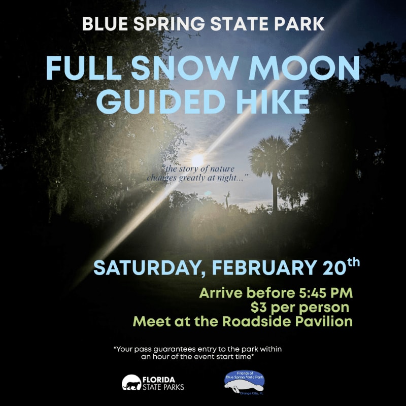 White text announcing a Full Snow Moon Guided Hike at Blue Spring State Park is layered over a nighttime forest scene with a bright beam of light cutting through the trees.