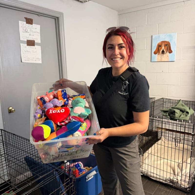 A smiling woman with red hair holds a large clear bin of colorful plush toys in a room with dog crates and a painting of a dog on the wall.