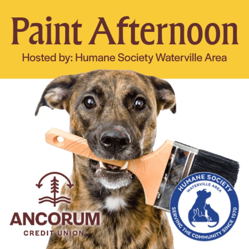 A brown dog holds a paintbrush in its mouth against a white and yellow background featuring text and logos.