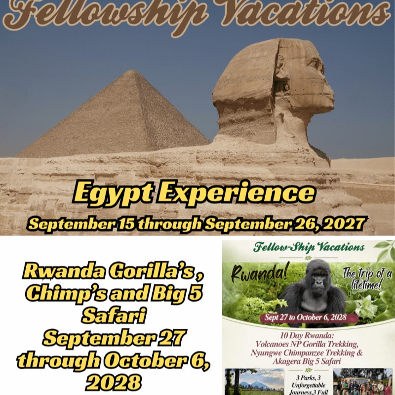 A promotional flyer features the Great Sphinx and a pyramid in the foreground of the top section, with a gorilla and lush greenery in the background of the bottom right section.