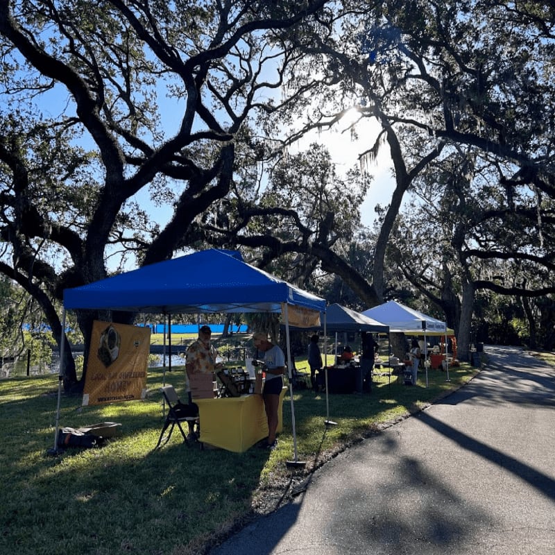 Blue and white canopy tents are set up on a grassy area beside a paved path, shaded by large, sprawling oak trees under a bright sky.