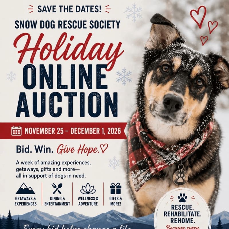 A dog wearing a red plaid bandana stands in the foreground against a snowy background with promotional text for a holiday online auction.
