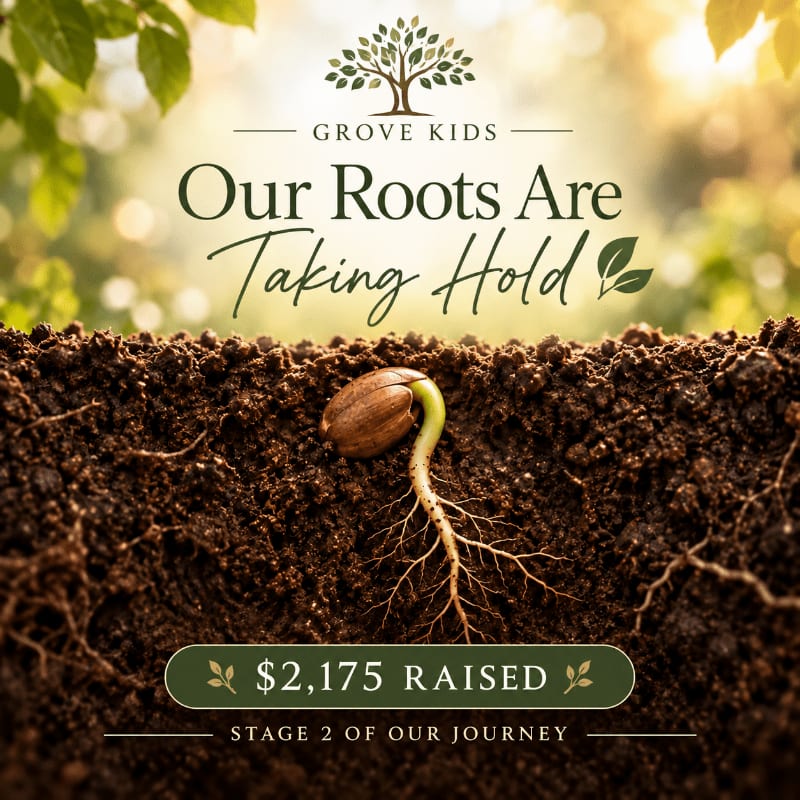 A sprouting seed with growing roots is embedded in dark soil in the foreground, set against a blurred, sunlit forest background with text and a logo above.